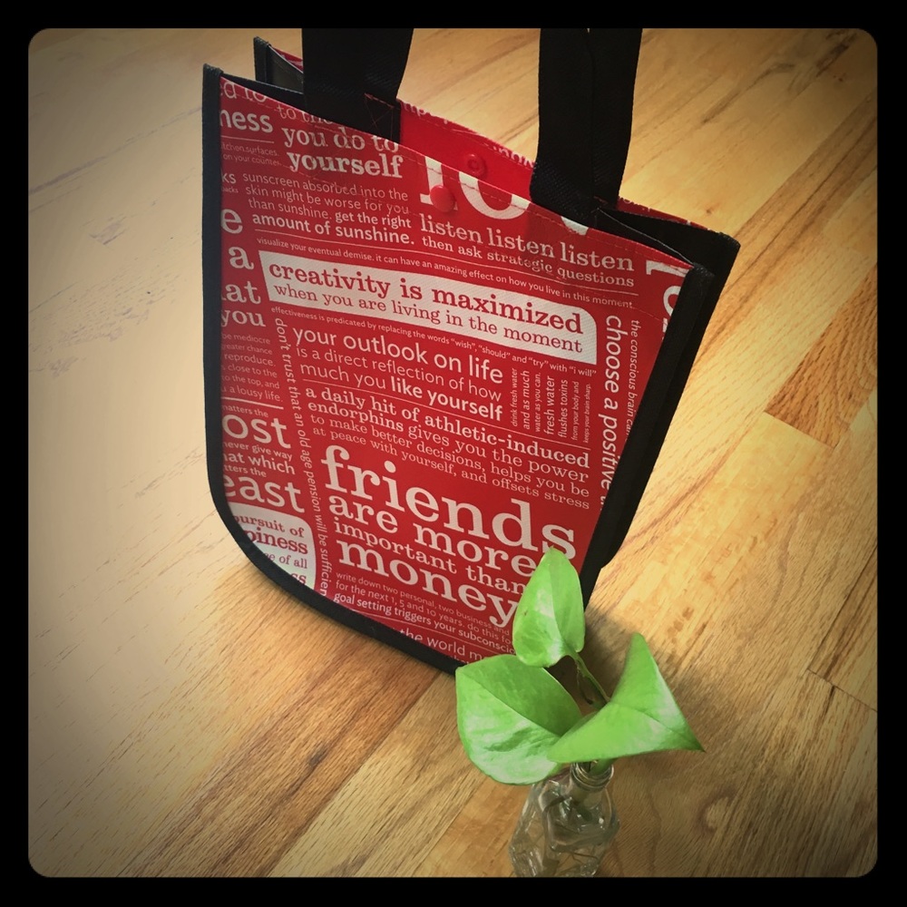 Lululemon reusable small bag